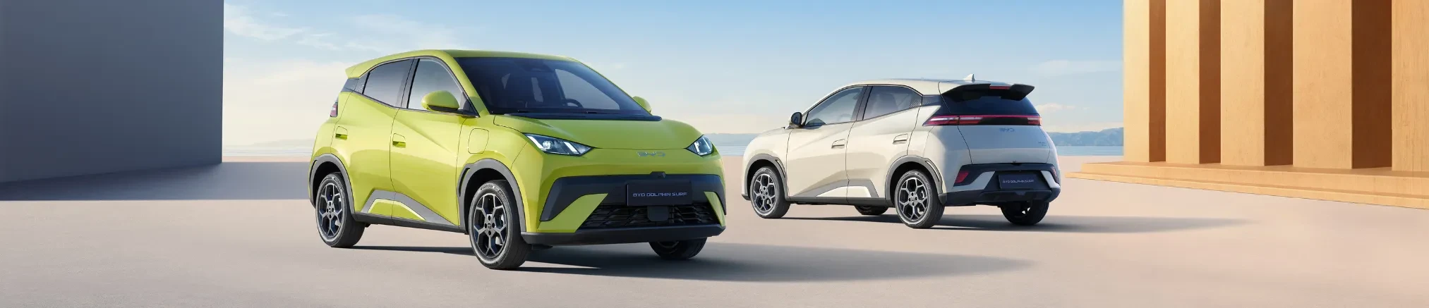 offerte e promozioni byd dolphin surf pc